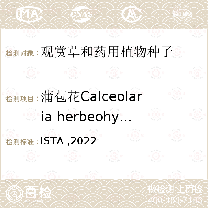 蒲苞花Calceolaria herbeohybrida ISTA ,2022  