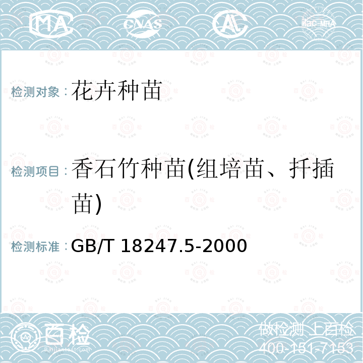 香石竹种苗(组培苗、扦插苗) GB/T 18247.5-2000 主要花卉产品等级 第5部分:花卉种苗
