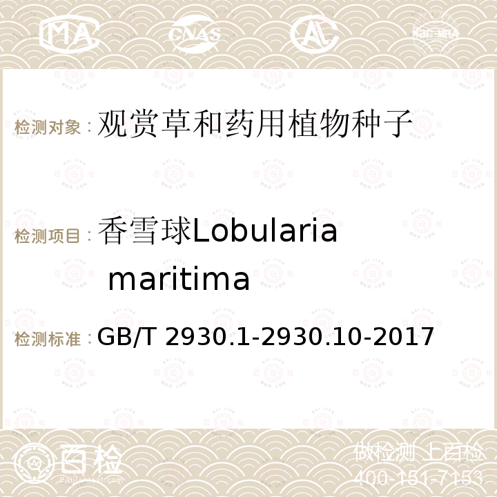 香雪球Lobularia maritima GB/T 2930.1-2930  .10-2017