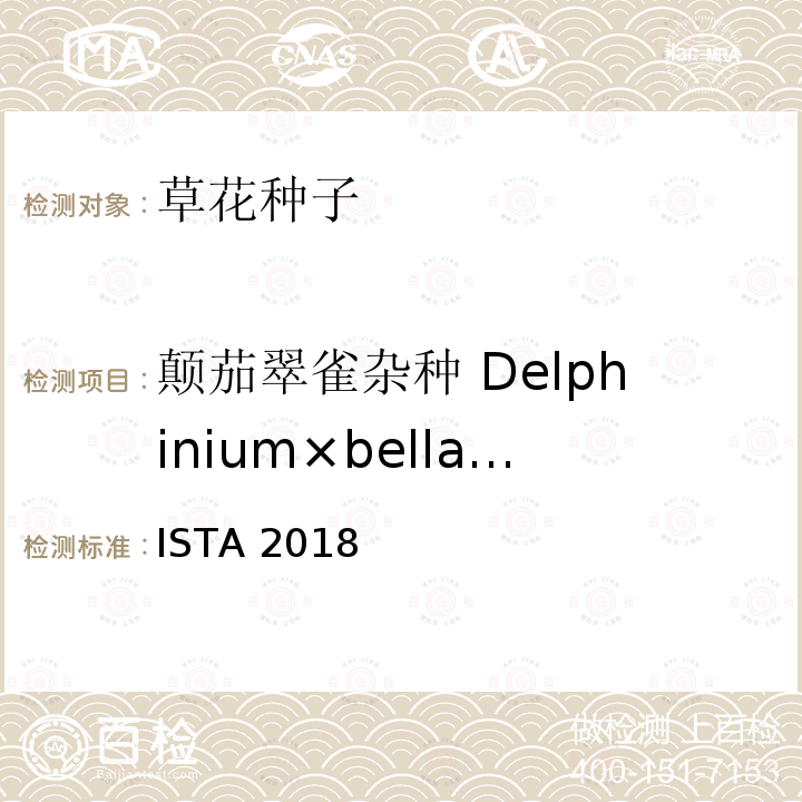 颠茄翠雀杂种 Delphinium×belladonna ISTA 2018  