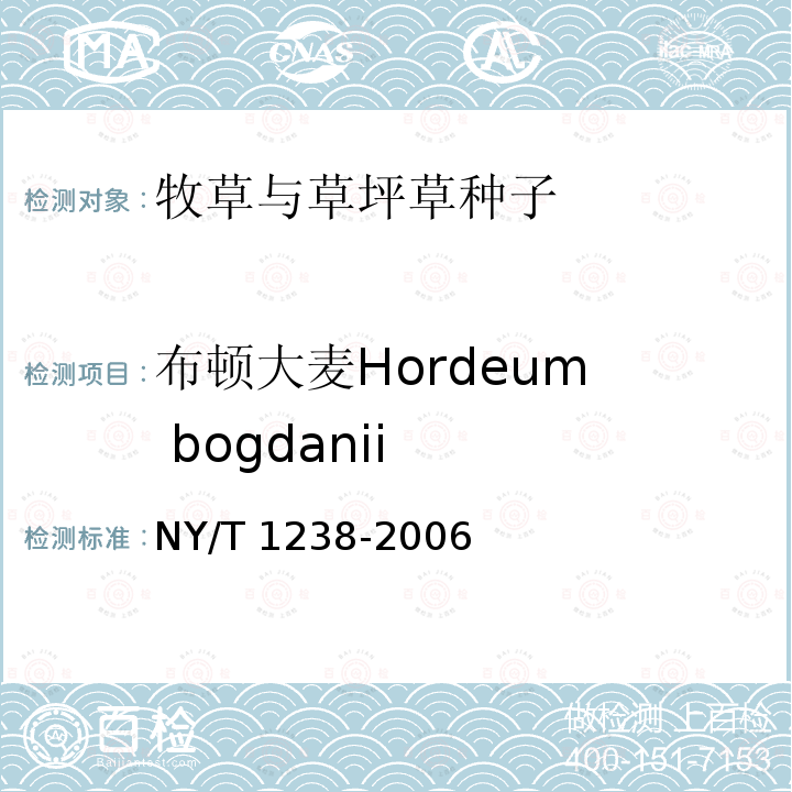 布顿大麦Hordeum  bogdanii NY/T 1238-2006 牧草与草坪草种苗评定规程