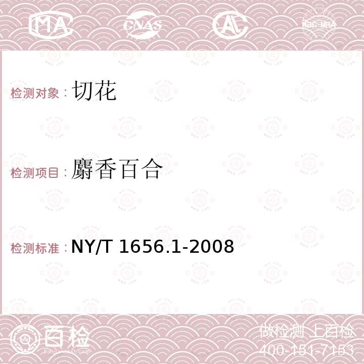 麝香百合 NY/T 1656.1-2008 花卉检验技术规范 第1部分:基本规则