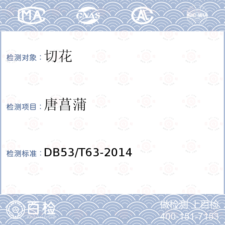 唐菖蒲 DB53/T 63-2014 主要鲜切花产品等级