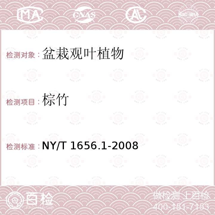 棕竹 NY/T 1656.1-2008 花卉检验技术规范 第1部分:基本规则