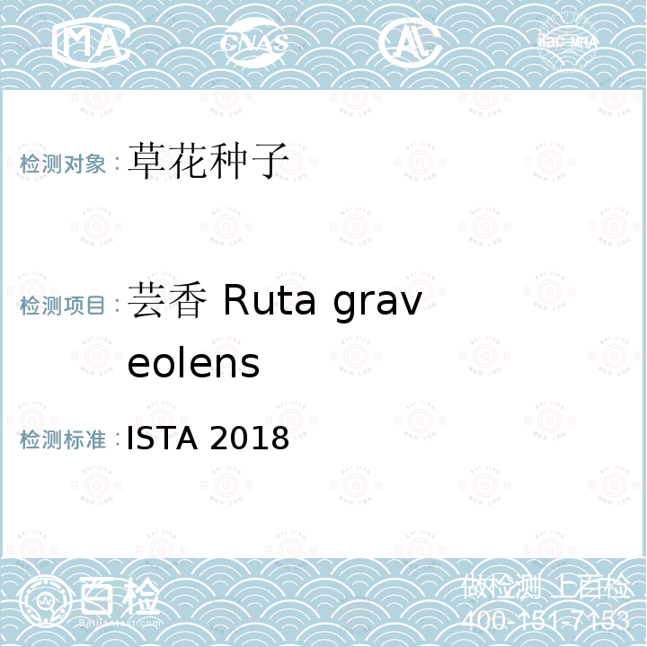 芸香 Ruta graveolens ENSISTA 2018  ISTA 2018