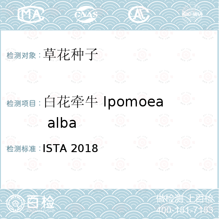 白花牵牛 Ipomoea alba 白花牵牛 Ipomoea alba ISTA 2018