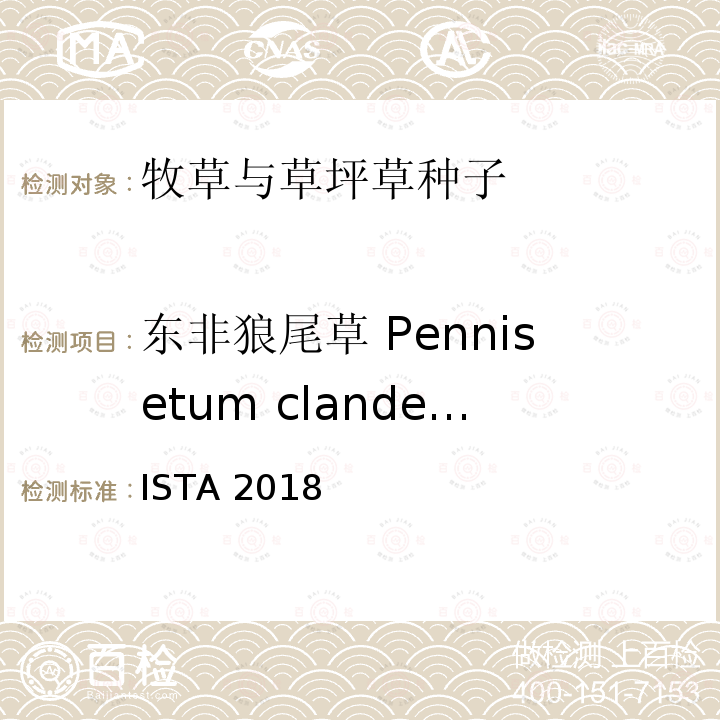 东非狼尾草 Pennisetum clandestinum ISTA 2018  