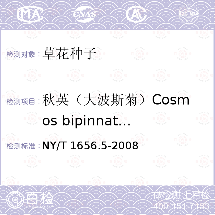 秋英（大波斯菊）Cosmos bipinnatus NY/T 1656.5-2008 花卉检验技术规范 第5部分:花卉种子检验