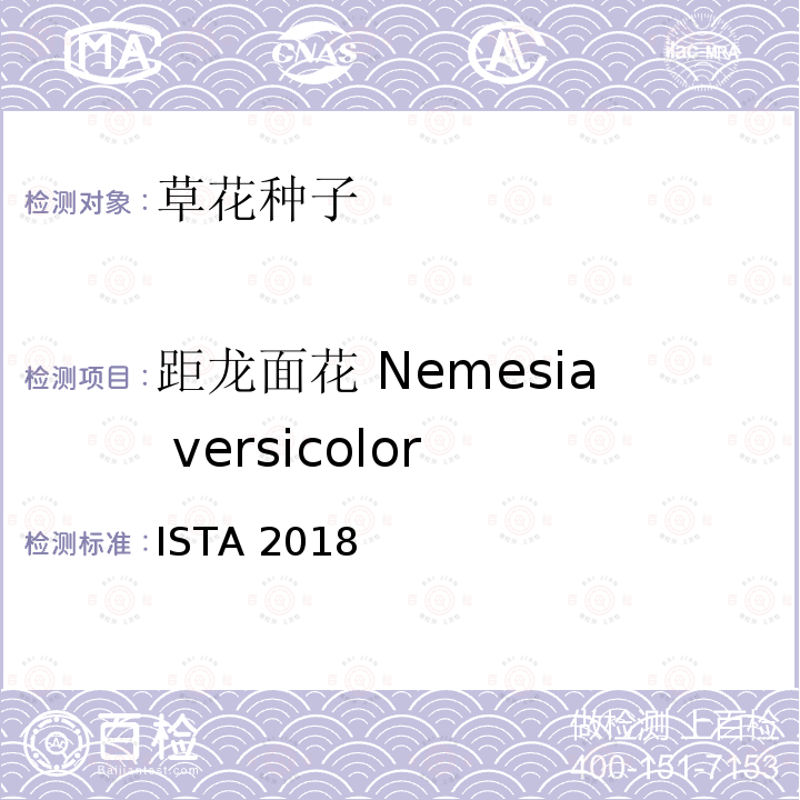 距龙面花 Nemesia versicolor 距龙面花 Nemesia versicolor ISTA 2018
