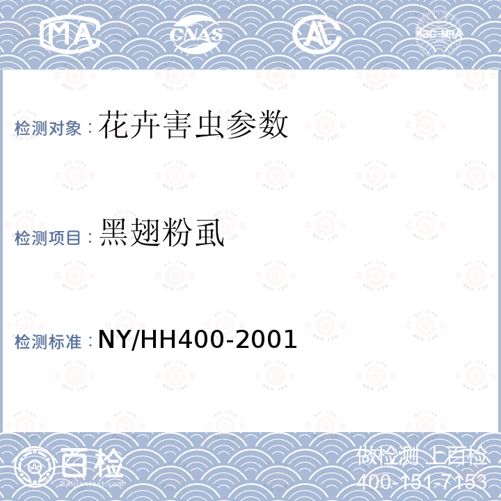 黑翅粉虱 HH 400-2001  NY/HH400-2001