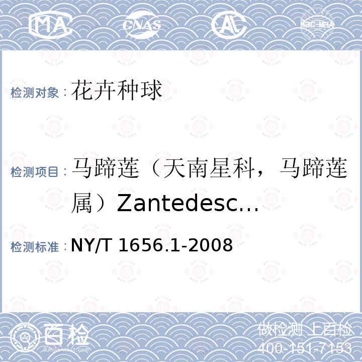 马蹄莲（天南星科，马蹄莲属）Zantedeschia aethiopica Sprenge. 马蹄莲（天南星科，马蹄莲属）Zantedeschia aethiopica Sprenge. NY/T 1656.1-2008