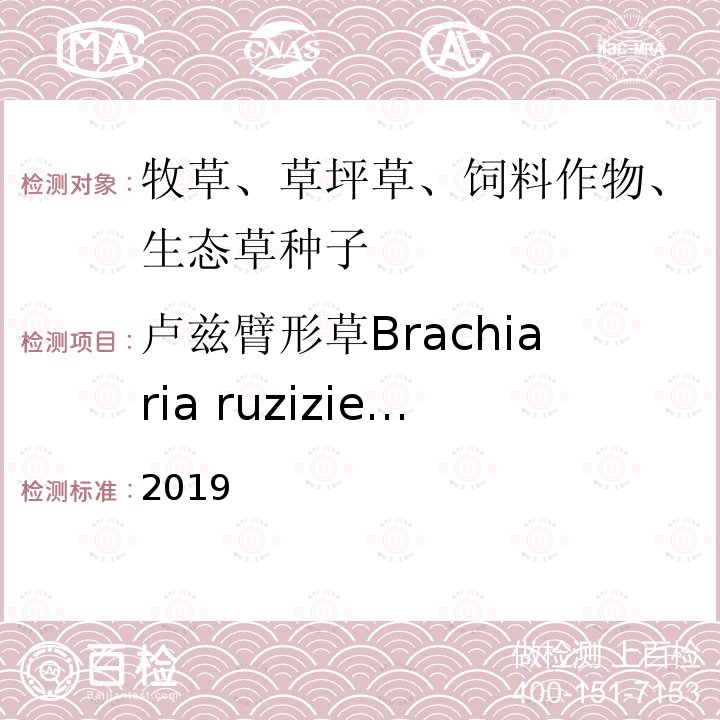 卢兹臂形草Brachiaria ruziziensis ENSIS 2019  2019