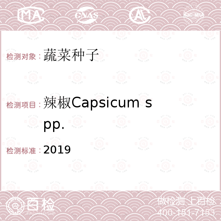 辣椒Capsicum spp. 辣椒Capsicum spp. 2019