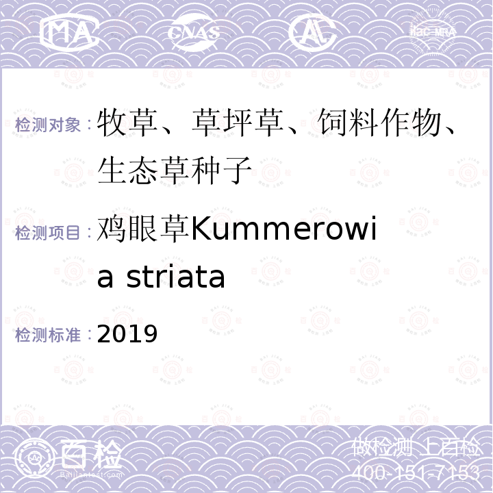 鸡眼草Kummerowia striata ASTRIATA 2019  2019