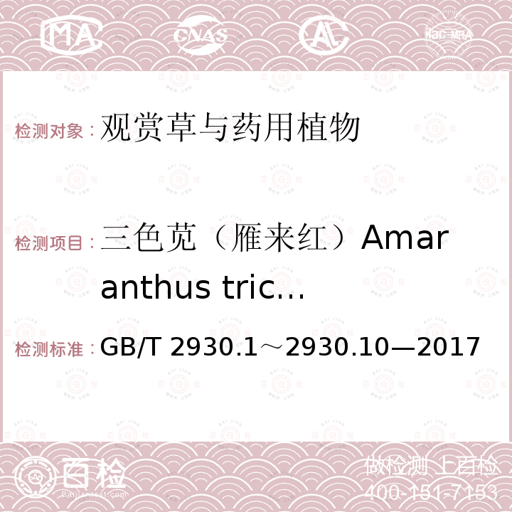 三色苋（雁来红）Amaranthus tricolor GB/T 2930  .1～2930.10—2017