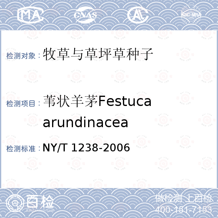 苇状羊茅Festuca arundinacea NY/T 1238-2006 牧草与草坪草种苗评定规程