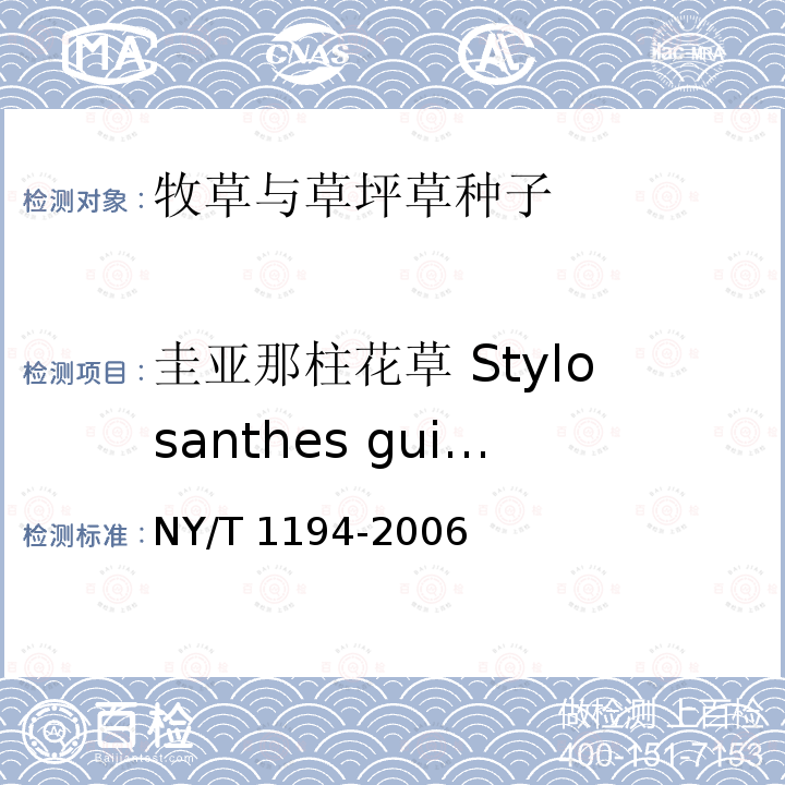 圭亚那柱花草 Stylosanthes guianensis NY/T 1194-2006 柱花草 种子