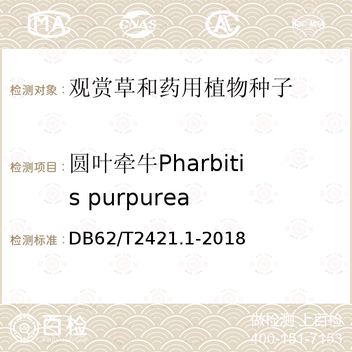圆叶牵牛Pharbitis purpurea DB62/T 2421.1-2018 主要草种子质量 第1 部分 观赏草种子