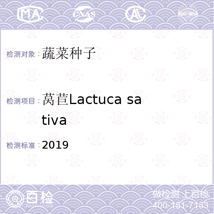 莴苣Lactuca sativa ASATIVA 2019  2019