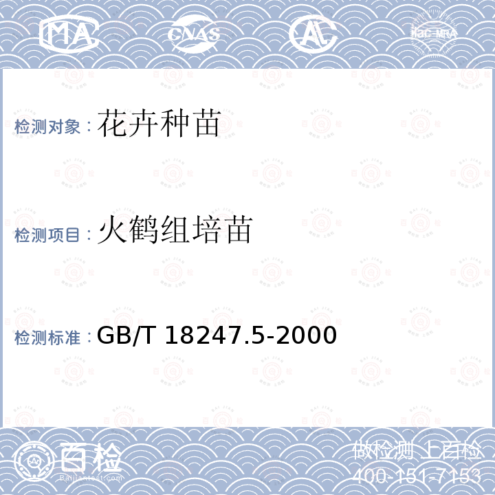 火鹤组培苗 GB/T 18247.5-2000 主要花卉产品等级 第5部分:花卉种苗