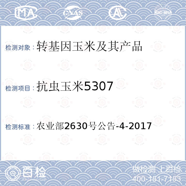 抗虫玉米5307 农业部2630号公告-4-2017  