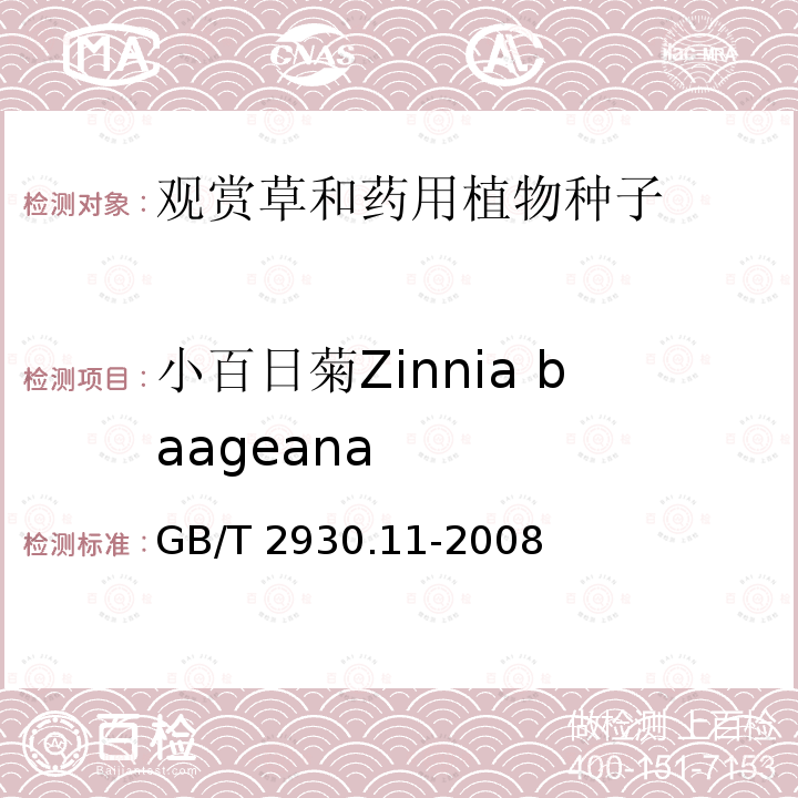 小百日菊Zinnia baageana GB/T 2930.11-2008 草种子检验规程 检验报告