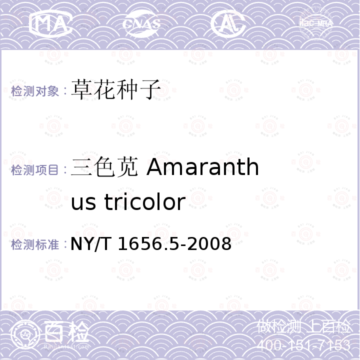 三色苋 Amaranthus tricolor NY/T 1656.5-2008 花卉检验技术规范 第5部分:花卉种子检验
