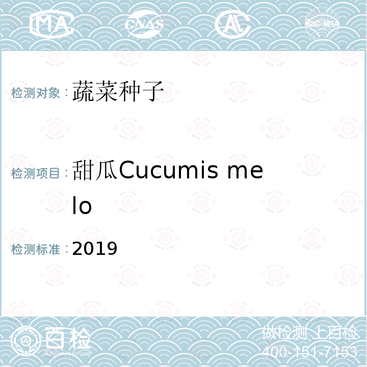 甜瓜Cucumis melo 甜瓜Cucumis melo 2019
