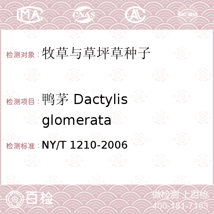 鸭茅 Dactylis glomerata NY/T 1210-2006 牧草与草坪草种子认证规程