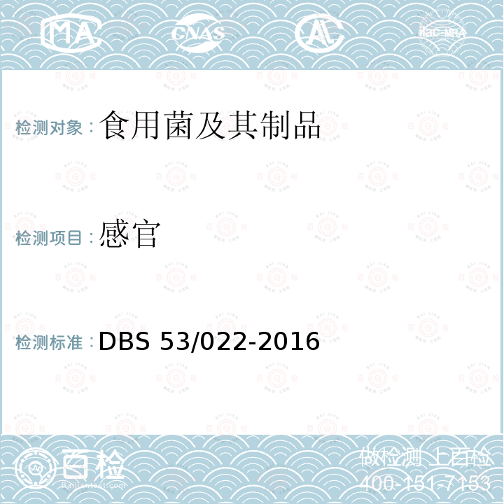感官 感官 DBS 53/022-2016