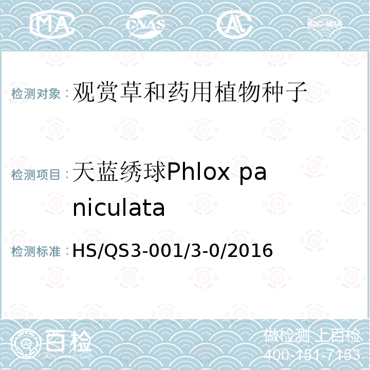 天蓝绣球Phlox paniculata HS/QS3-001/3-0/2016  