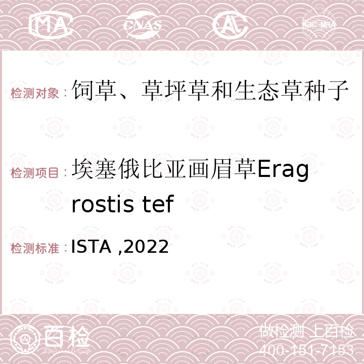埃塞俄比亚画眉草Eragrostis tef ISTA ,2022  