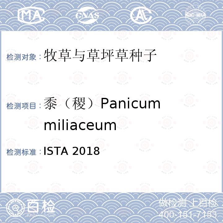 黍（稷）Panicum miliaceum ISTA 2018  