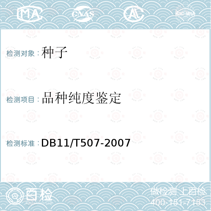 品种纯度鉴定 DB 11/T 507-2007  DB11/T507-2007