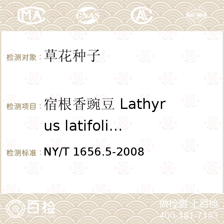 宿根香豌豆 Lathyrus latifolius NY/T 1656.5-2008 花卉检验技术规范 第5部分:花卉种子检验