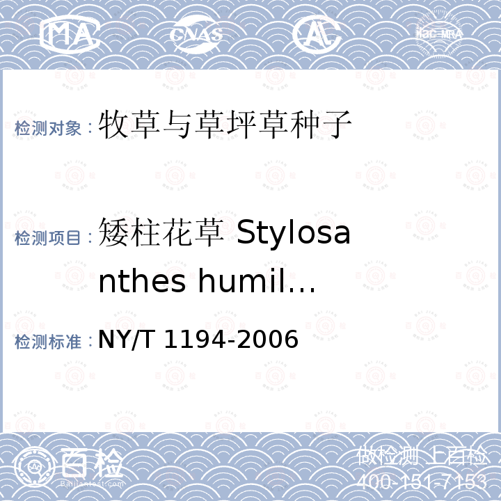 矮柱花草 Stylosanthes humilis NY/T 1194-2006 柱花草 种子