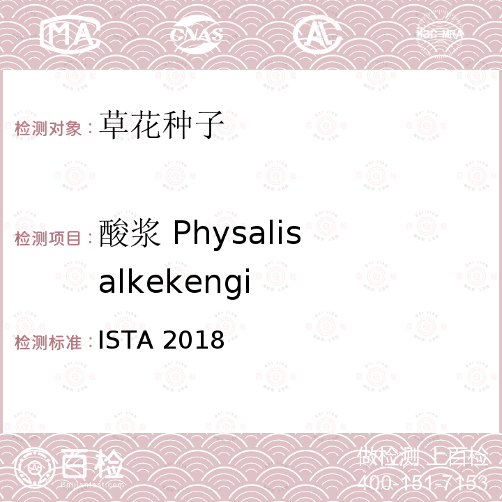 酸浆 Physalis alkekengi ISTA 2018  