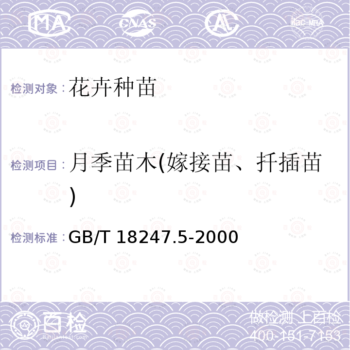 月季苗木(嫁接苗、扦插苗) GB/T 18247.5-2000 主要花卉产品等级 第5部分:花卉种苗