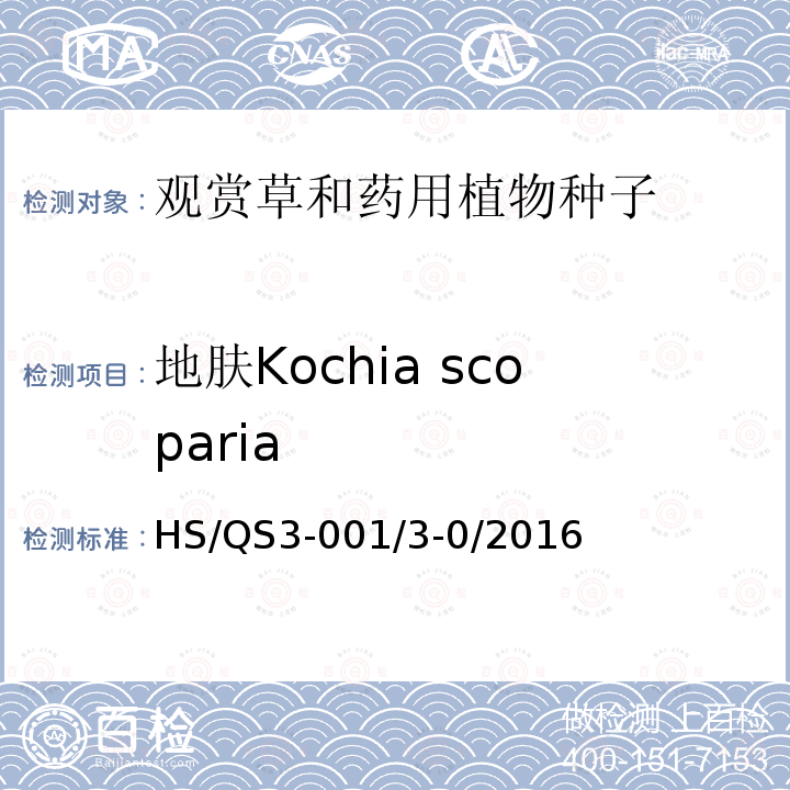 地肤Kochia scoparia 地肤Kochia scoparia HS/QS3-001/3-0/2016