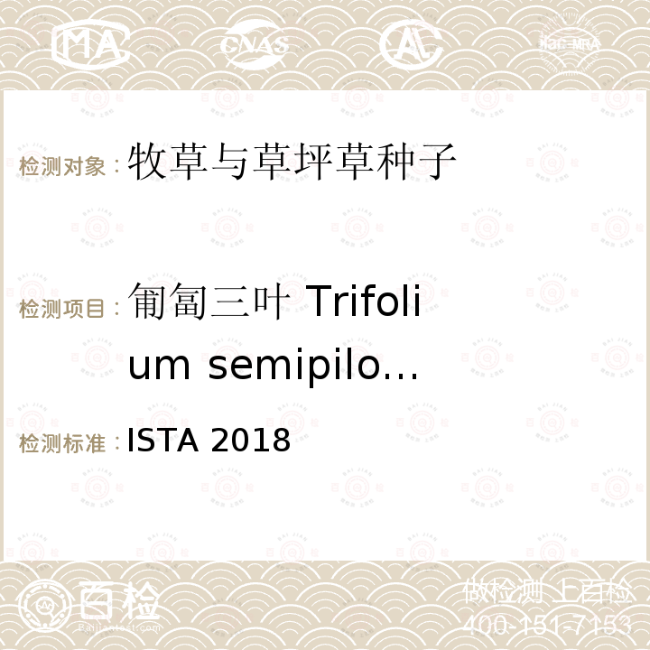 匍匐三叶 Trifolium semipilosum ISTA 2018  