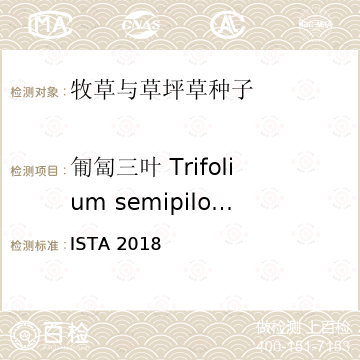 匍匐三叶 Trifolium semipilosum 匍匐三叶 Trifolium semipilosum ISTA 2018