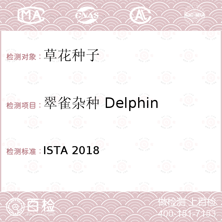 翠雀杂种 Delphinium×cultorum ISTA 2018  