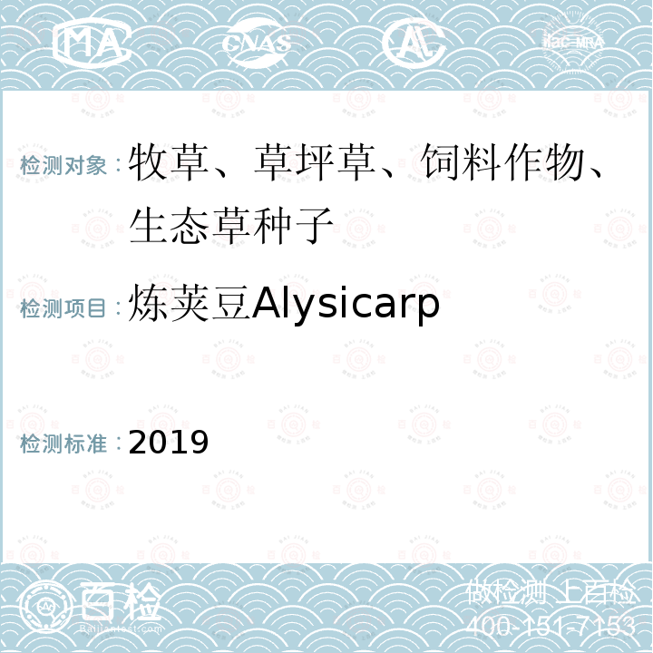 炼荚豆Alysicarpus vaginalis 2019  