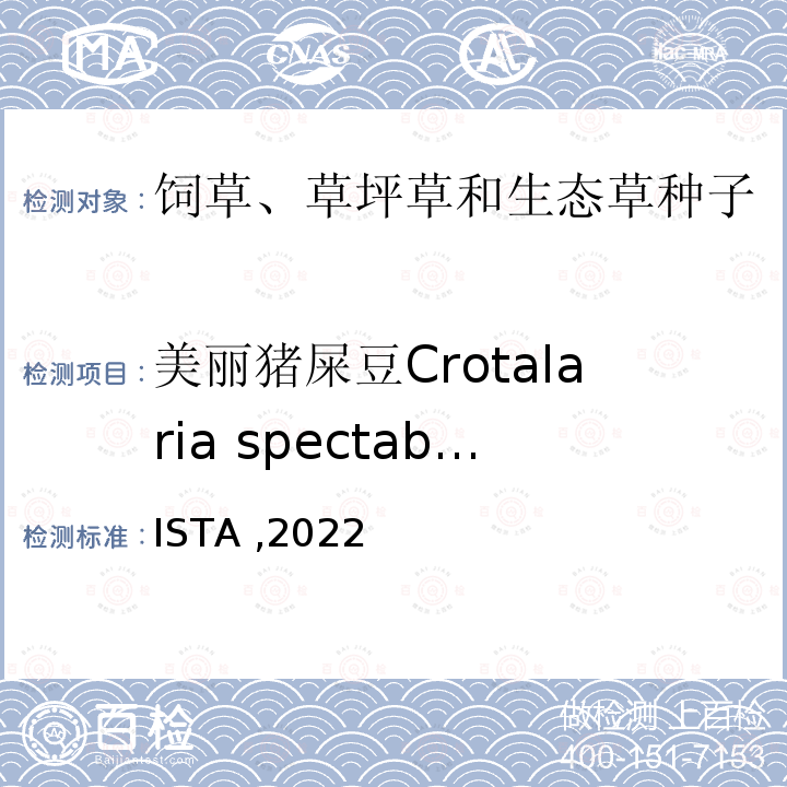 美丽猪屎豆Crotalaria spectabilis ISTA ,2022  