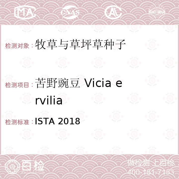 苦野豌豆 Vicia ervilia ISTA 2018  
