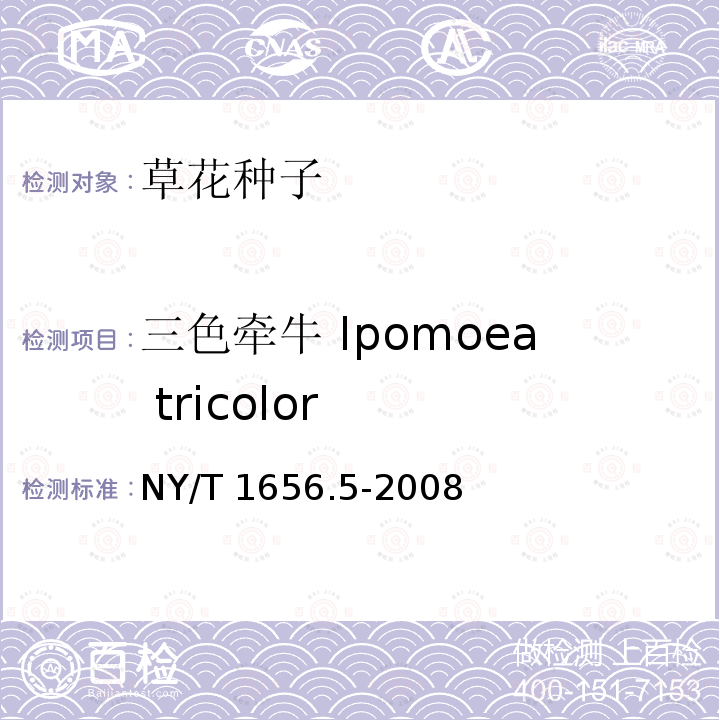 三色牵牛 Ipomoea tricolor NY/T 1656.5-2008 花卉检验技术规范 第5部分:花卉种子检验