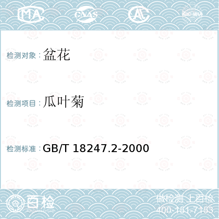 瓜叶菊 GB/T 18247.2-2000 主要花卉产品等级 第2部分:盆花
