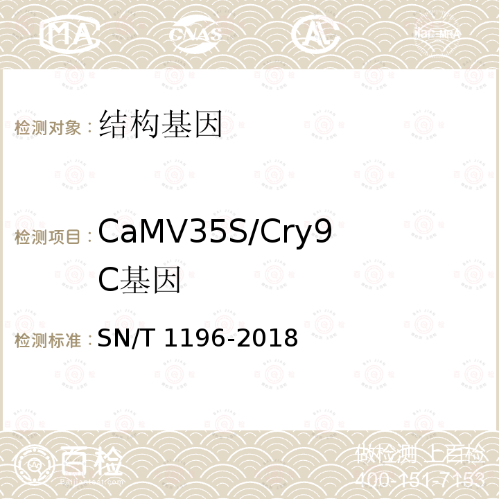 CaMV35S/Cry9C基因 SN/T 1196-2018 转基因成分检测 玉米检测方法