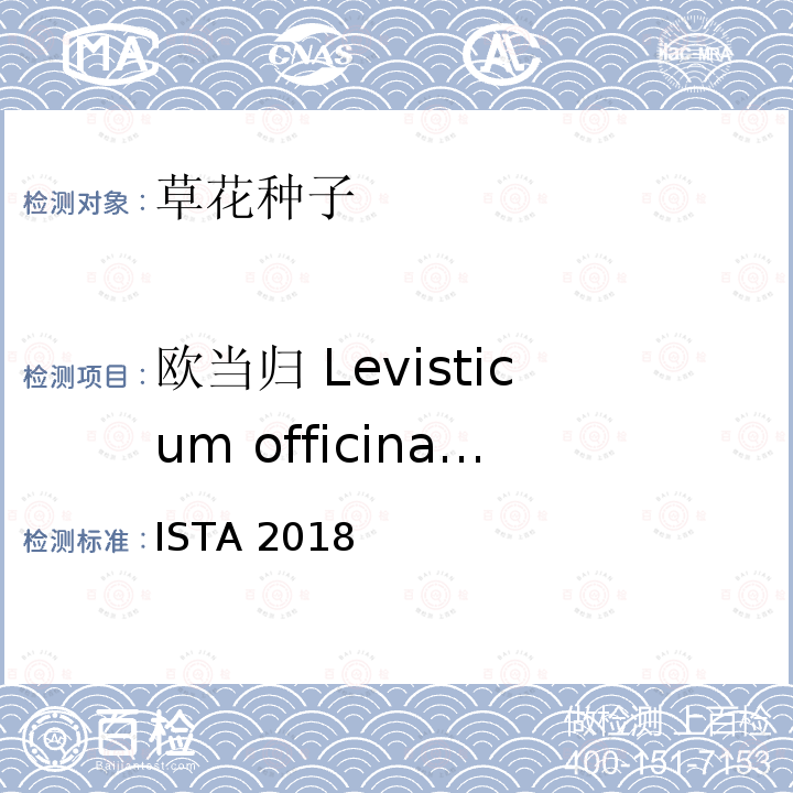 欧当归 Levisticum officinale ISTA 2018  