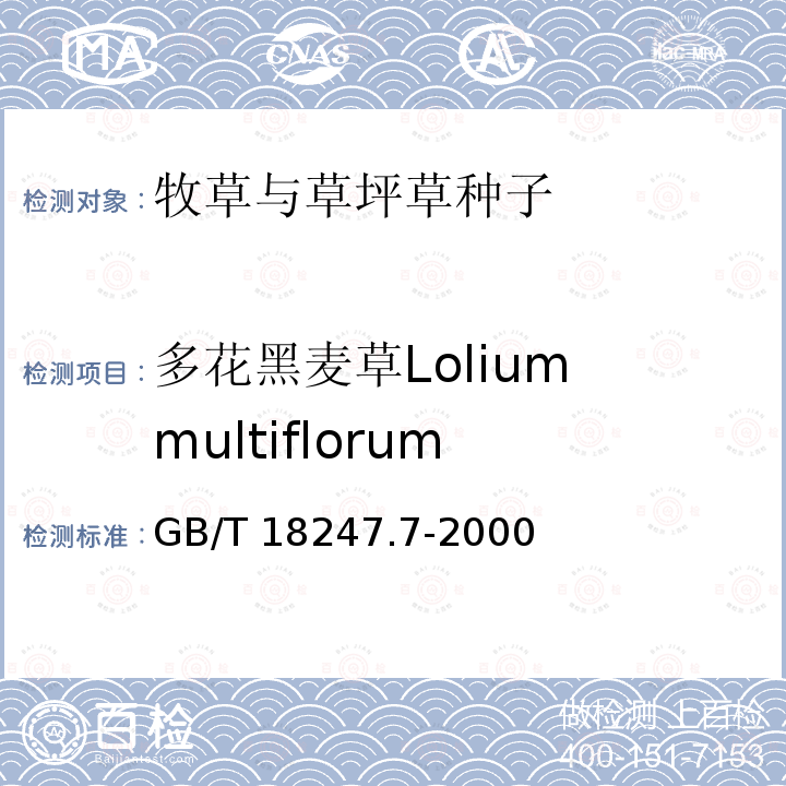 多花黑麦草Lolium multiflorum GB/T 18247.7-2000 主要花卉产品等级 第7部分:草坪